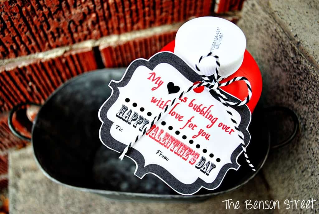Bubbles Valentine Printable at The Benson Street4