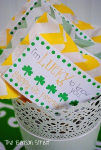 6Lucky Treat Bags at www.thebensonstreet.com