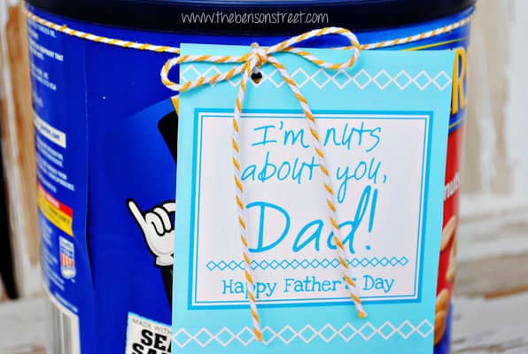Printable Nut Father's Day Tag at www.thebensonstreet.com