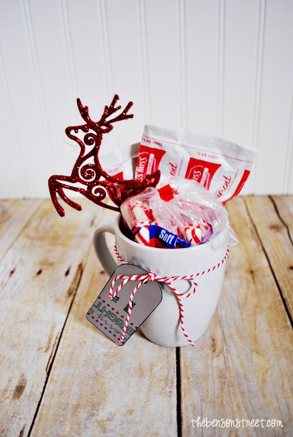 Adorable Neighbor or Teacher Gift Idea at thebensonstreet.com