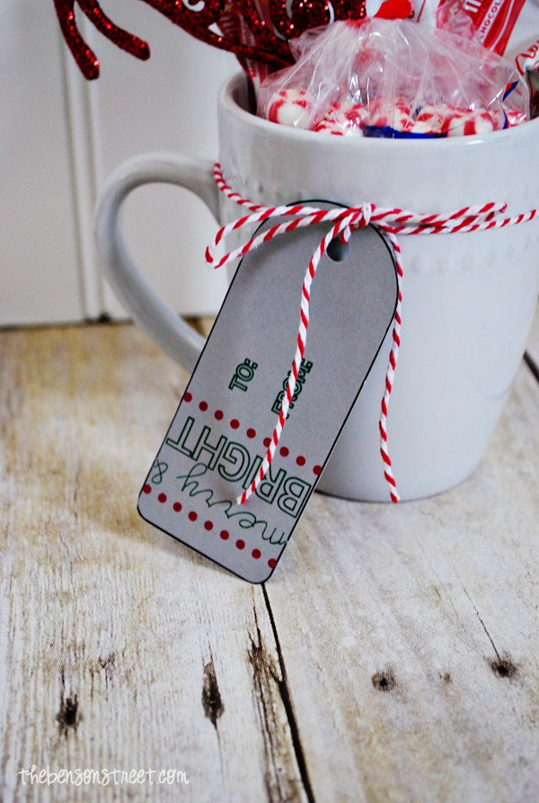 Quick and Easy Christmas Gift Idea at thebensonstreet.com