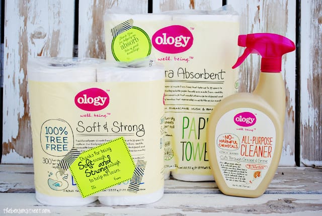 Cleaning Products for teacher appreciation at thebensonstreet.com