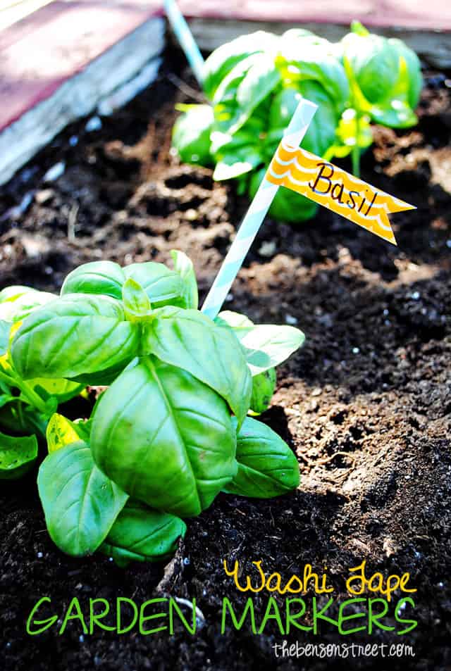 Washi Tape Garden Markers at thebensonstreet.com
