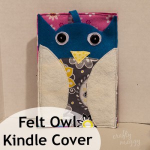 Felt Owl Kindle Cover
