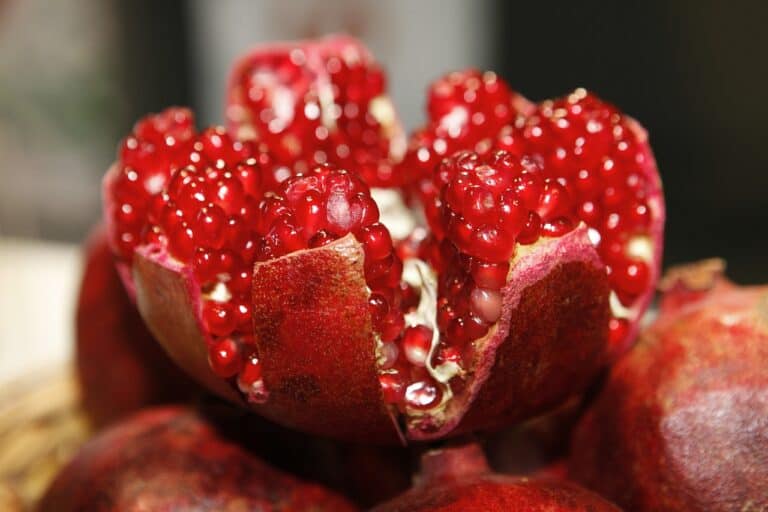 10 Super Foods to Add to Your Diet
