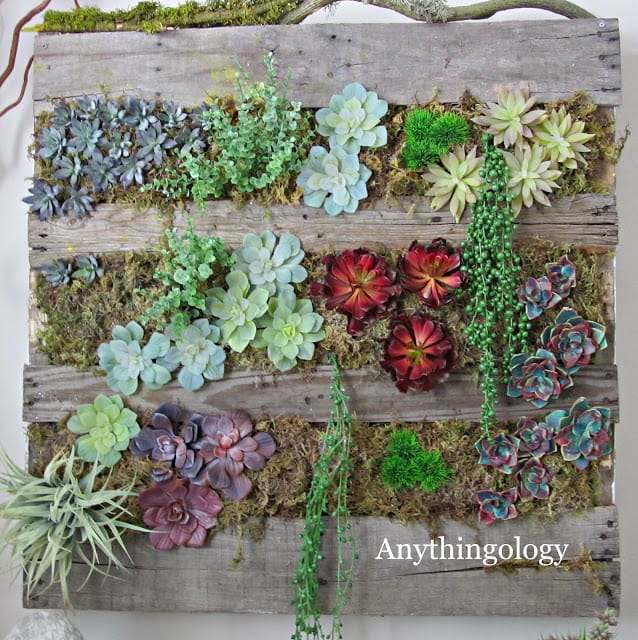 1-9-vertical-garden-text