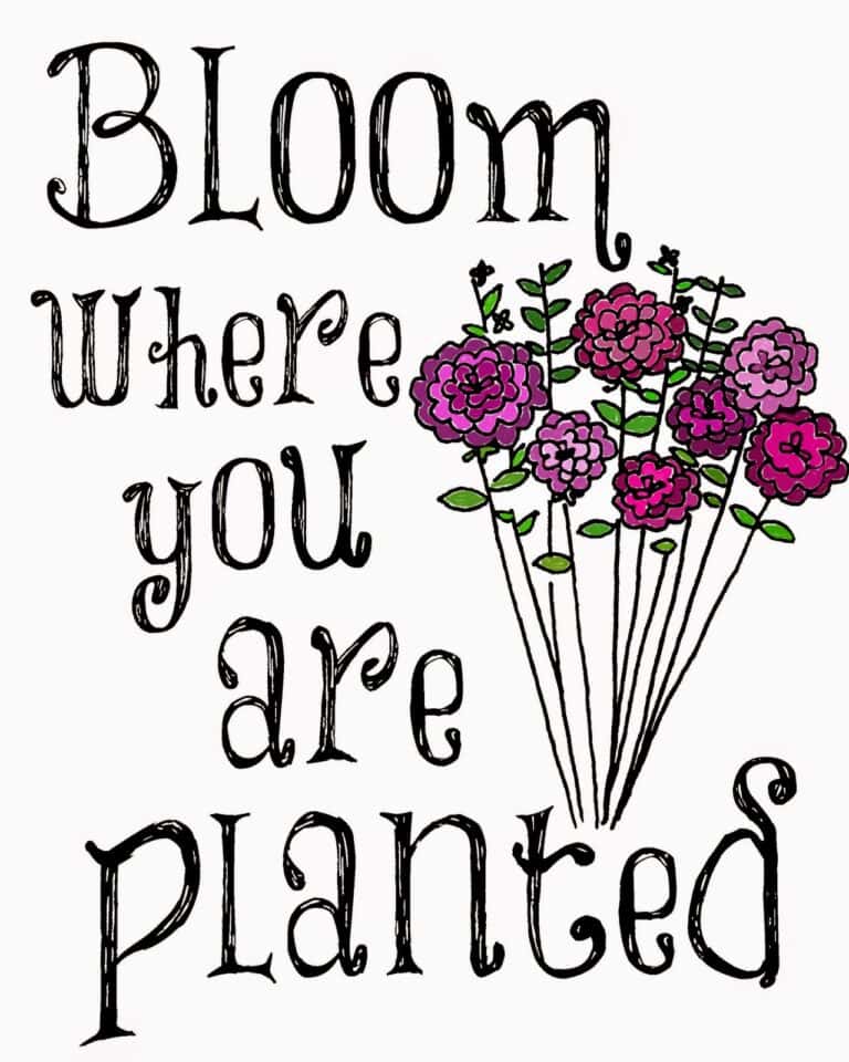Bloom Where You Are Planted Printable