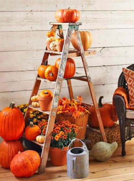 Ladder with Pumpkins