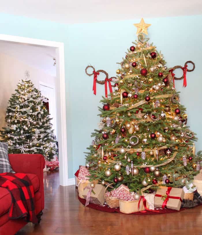 traditional-christmas-trees