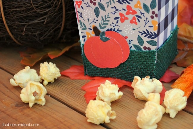 adorable-fall-party-popcorn-box-idea-via-thebensonstreet-com