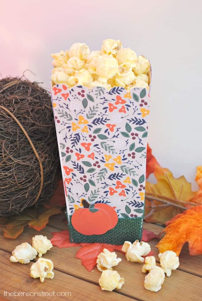 simple-way-to-dress-up-a-popcorn-box-for-a-fall-party-via-thebensonstreet-com