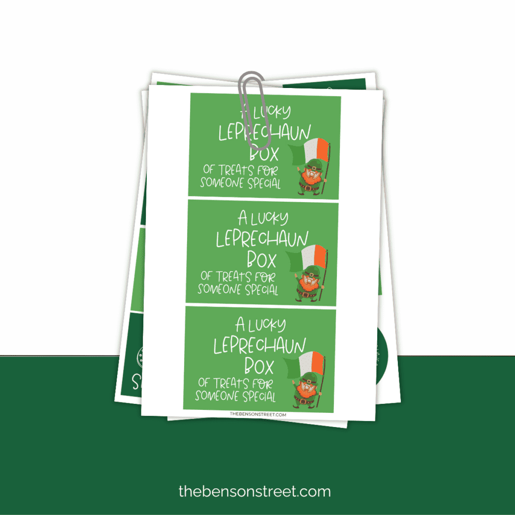 Fun Idea for St. Patrick's day printable tags for a lucky leprechaun box of treats for someone special with ideas and box template