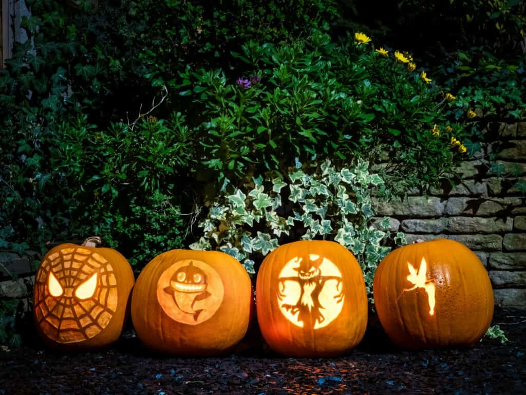 Four carved pumpkins featuring a spiderman, baby shark, scarecrow and tinkerbell.
