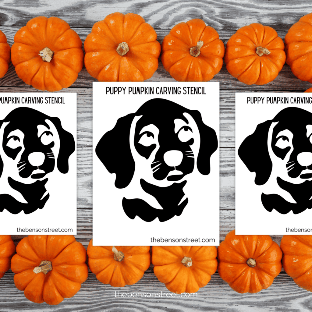 A printable stencil with a simple, minimalist design of a puppy’s face, featuring basic shapes and lines for an easy and quick pumpkin carving.