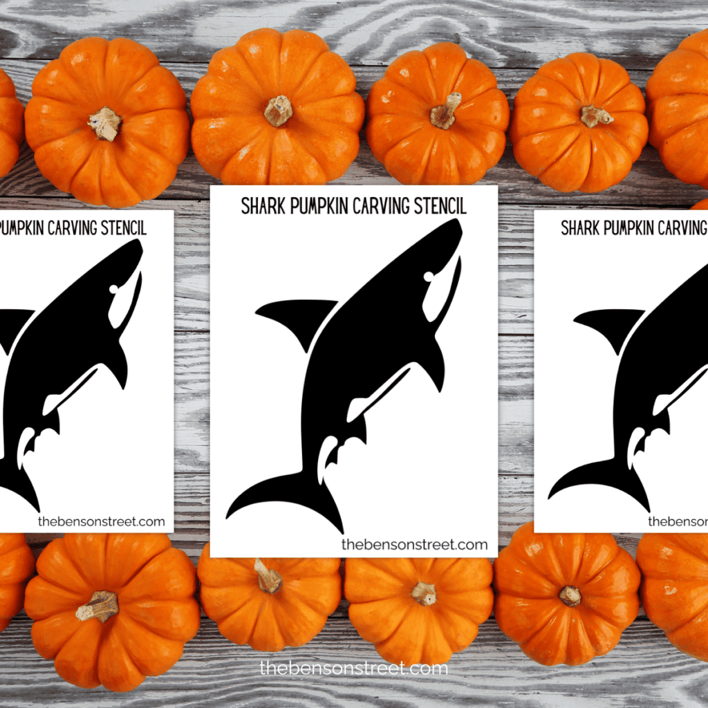 An overhead shot of a printable shark pumpkin stencil, showcasing the fierce expression of the shark with a streamlined body.
