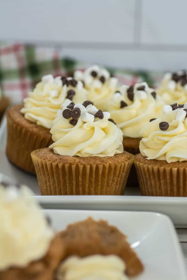 Up close side view of yummy hot cocoa cupcakes with marshmallow cream frosting
