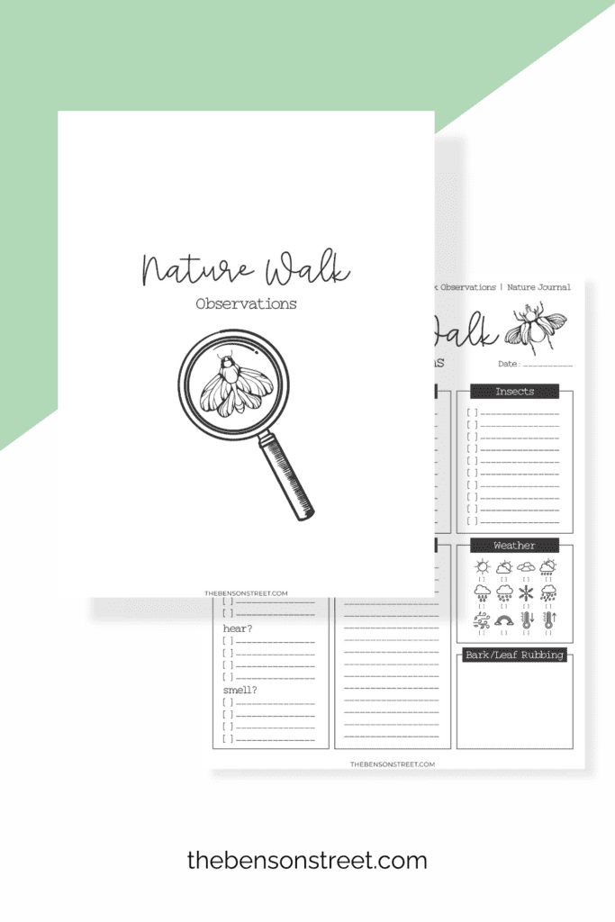 Free Printable Nature Walk Observation worksheet for kids