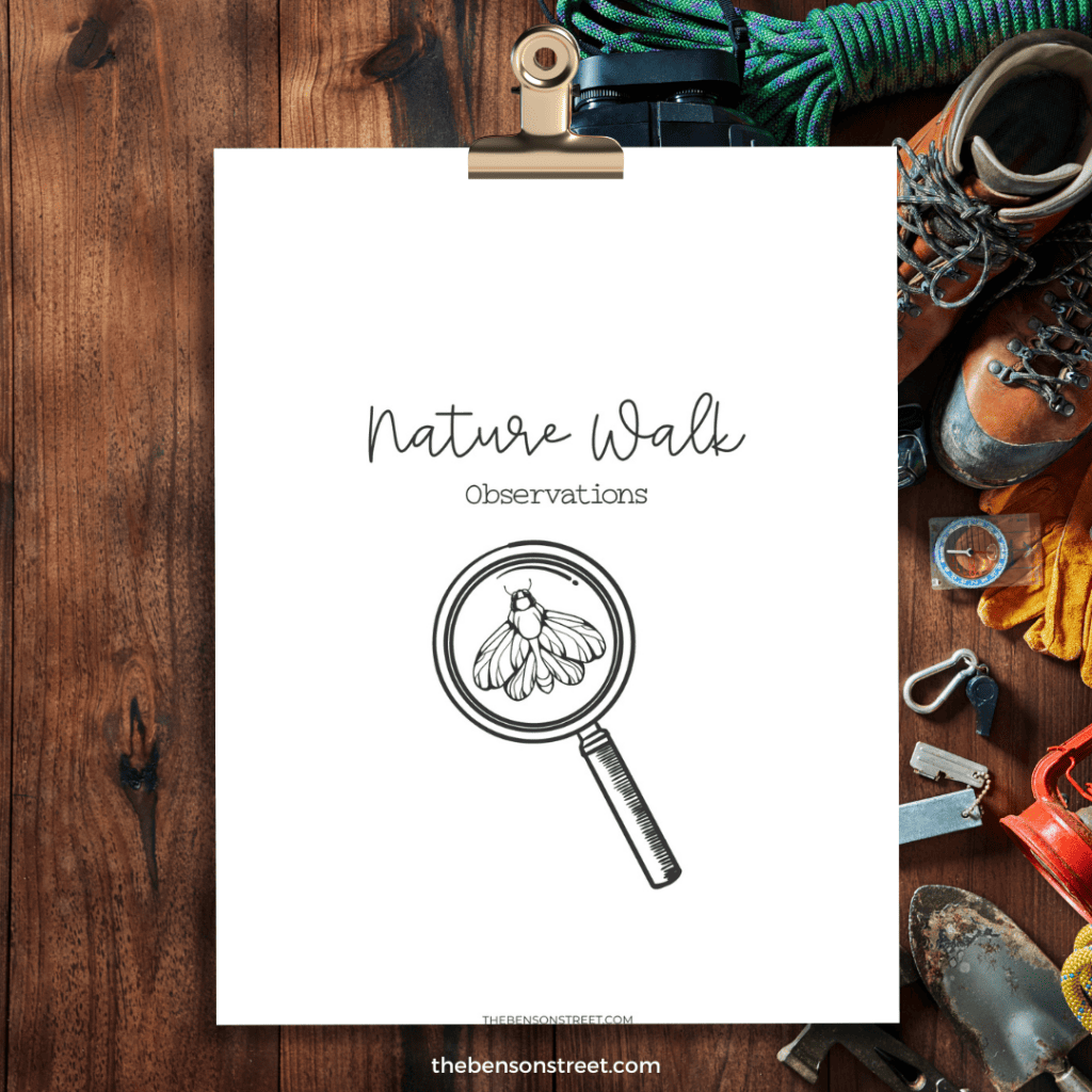 Head out on a nature walk while camping or on a hike with this free printable