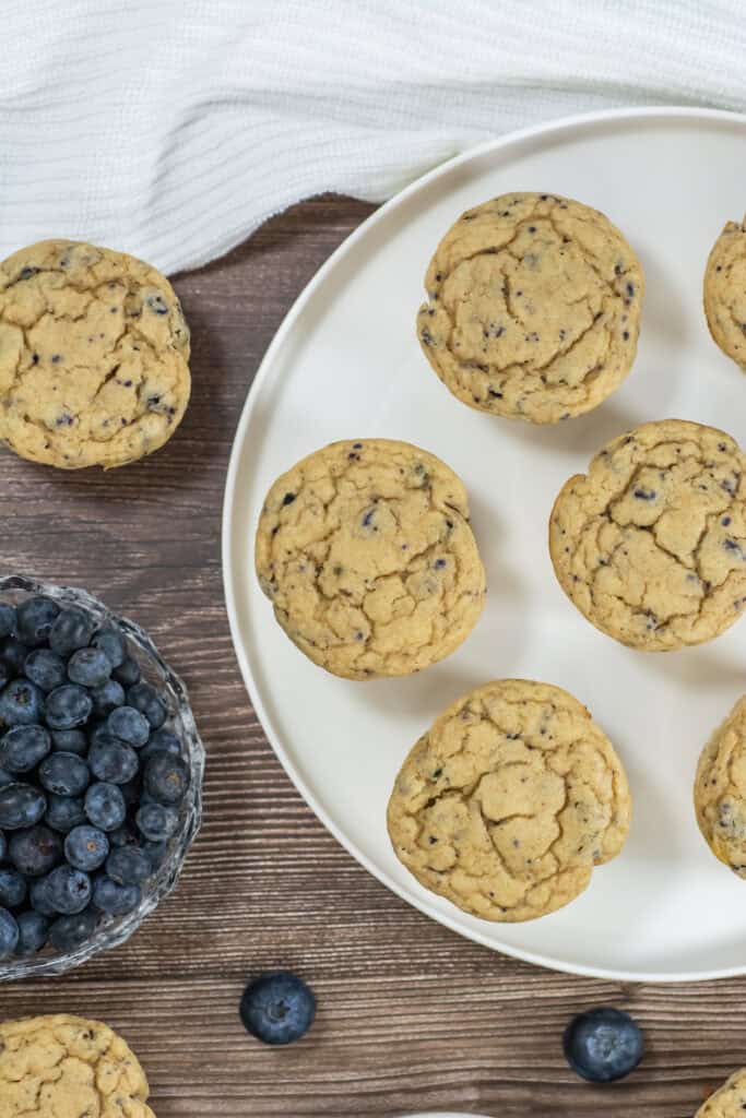 High Protein Muffins Recipe made and on a plate shot from above