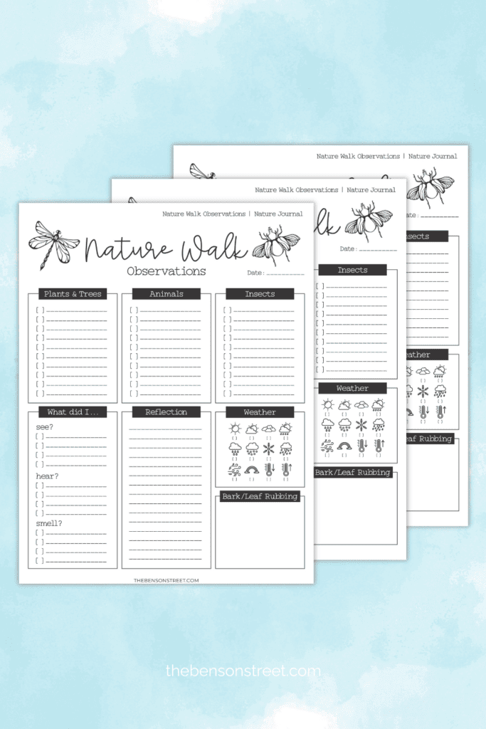 Homeschool Free Printable Nature Walk Observation worksheet for kids 