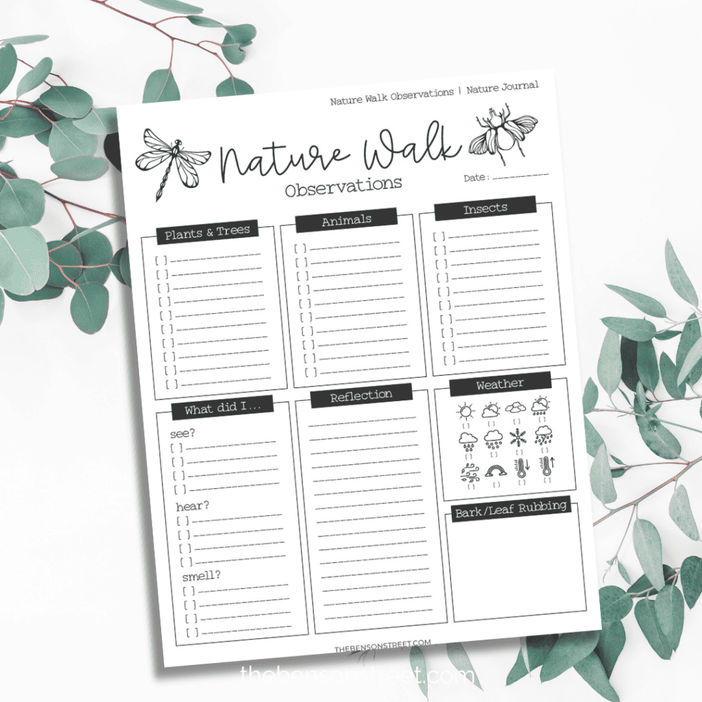 Nature Walk Observations Page for kids