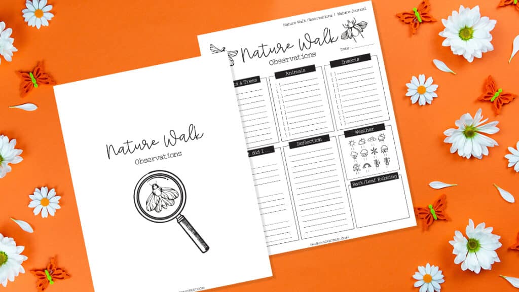 Flat lay of two sheets of paper with nature walk observations page on an orange background with daisies