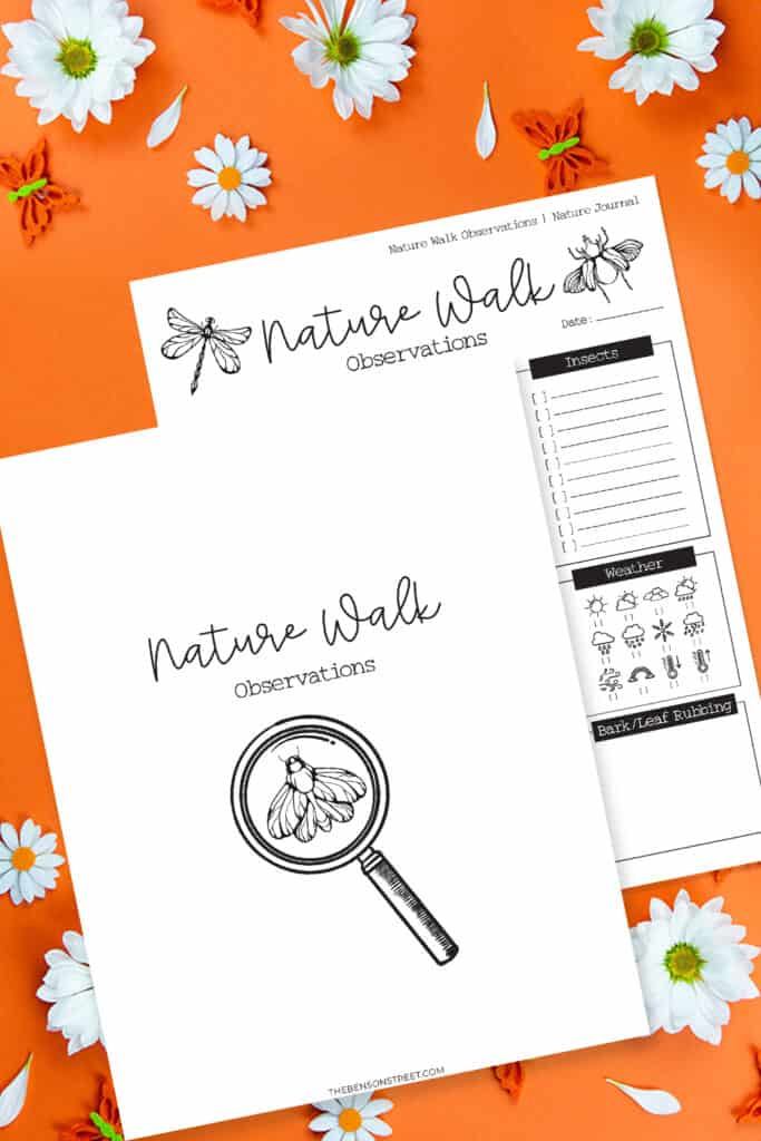 Flat lay with an orange background and two printed sheets on top for a nature walk worksheet
