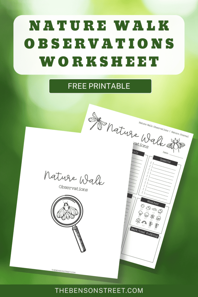 Nature Walk themed observations worksheets free printable for kids