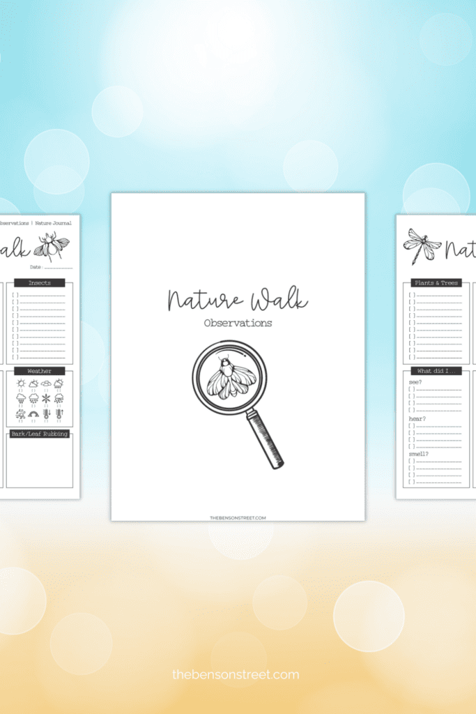 Take this sheet with you on your next nature walk to take a look around and write down what you see