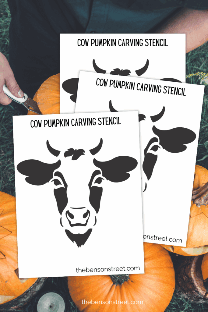 A cow stencil for free to carve a cow pumpkin