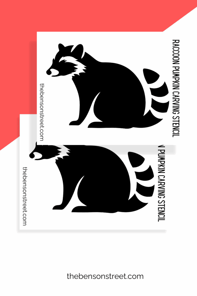 Cute raccoon silhouette stencil for pumpkin carving