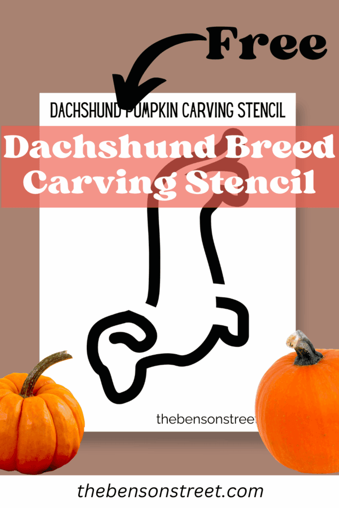 Free Dachshund breed Pumpkin Stencil for a carving template