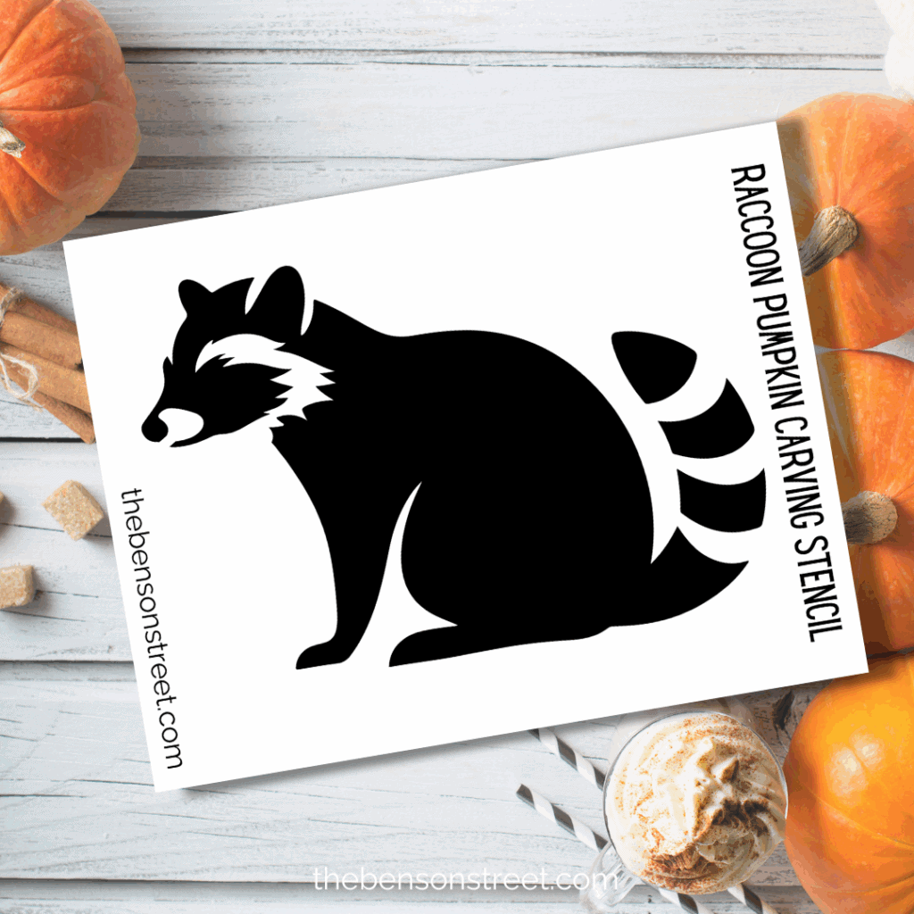 Free Racoon Inspired Jack O'Lantern Pumpkin Carving Stencil