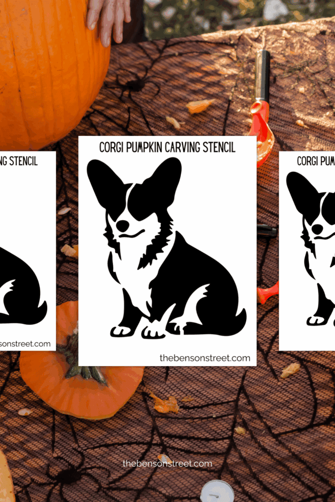 How to carve a cute corgi dog on a jack o'lantern