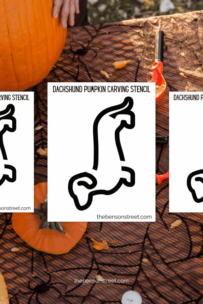 How to carve a dachshund breed dog pumpkin