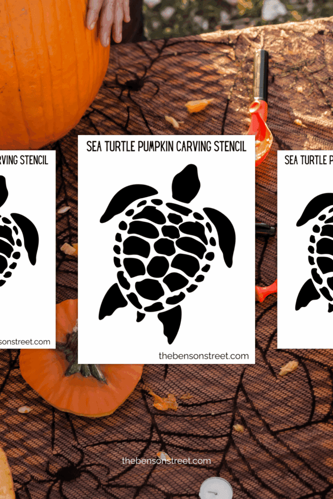How to carve a turtle on a pumpkin for Halloween