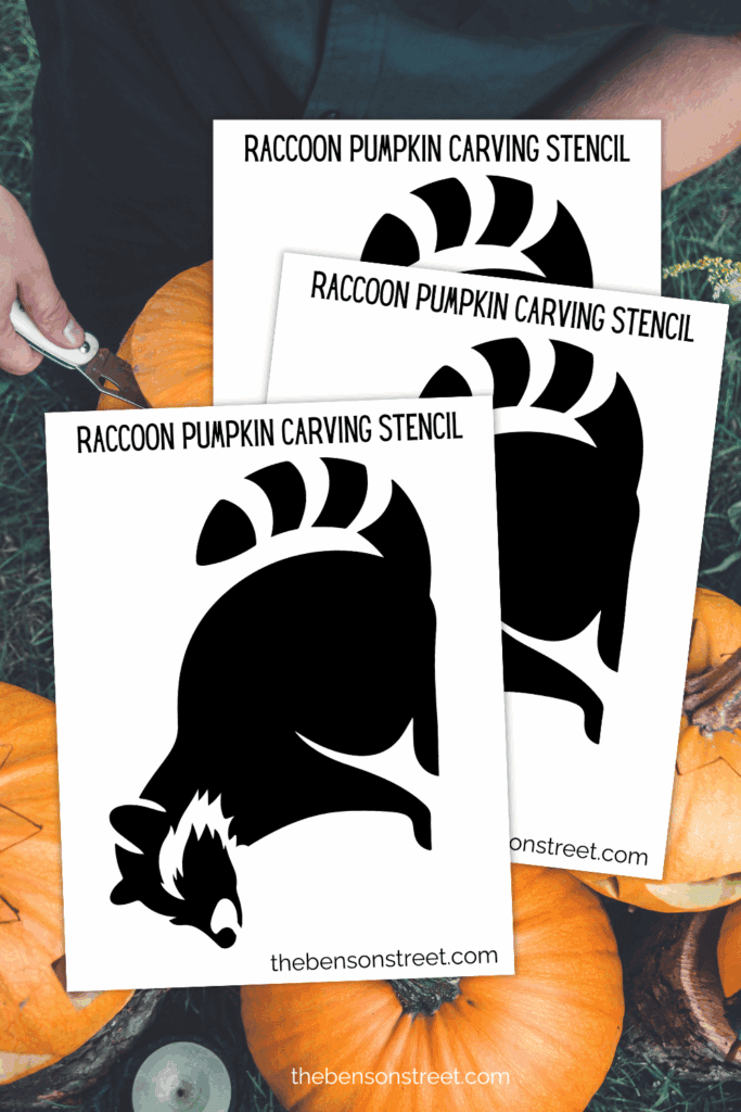 Learn how to carve a raccoon pumpkin using a printable stencil
