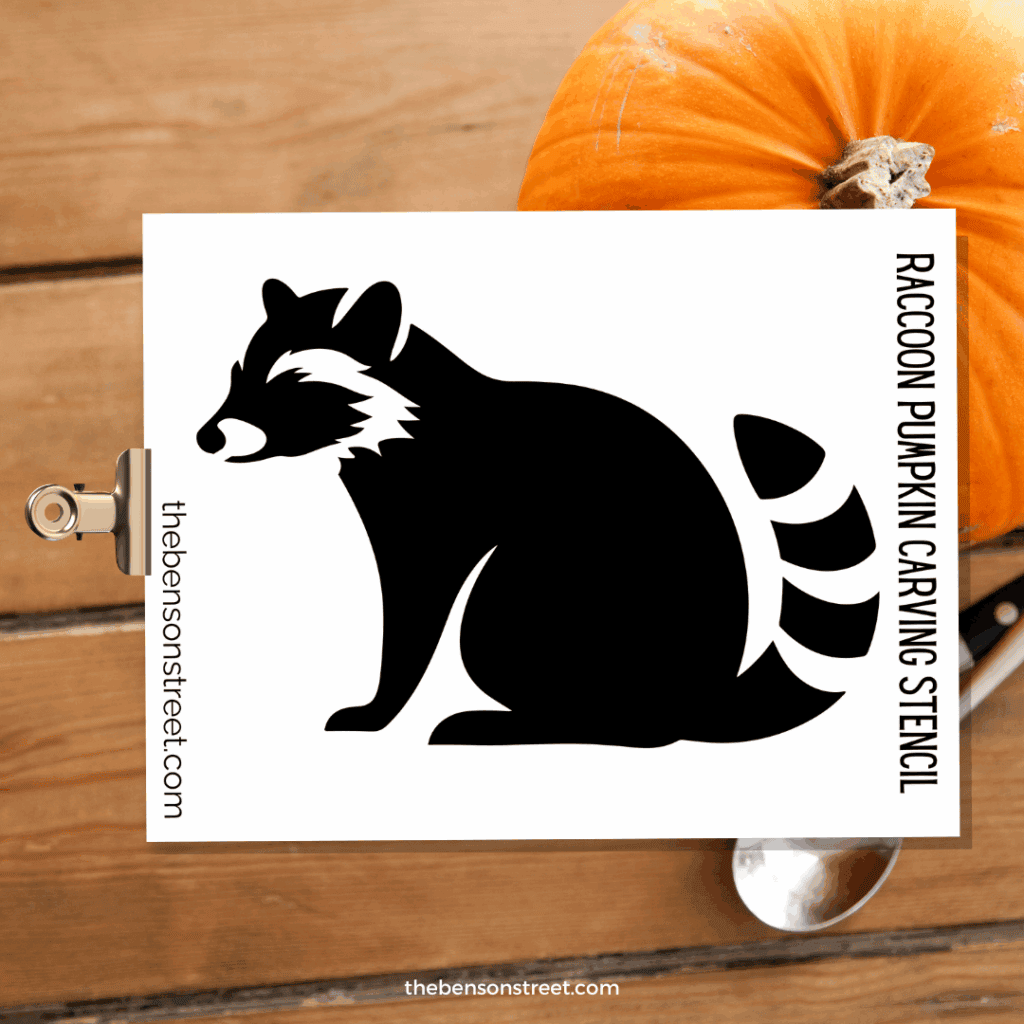 Raccoon Pumpkin Carving Stencil on a clipboard