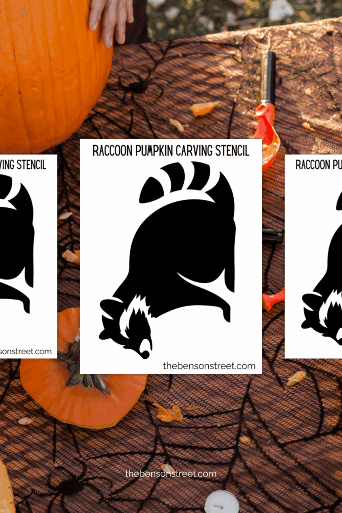 Stencils for carving a raccoon on a pumpkin for Halloween