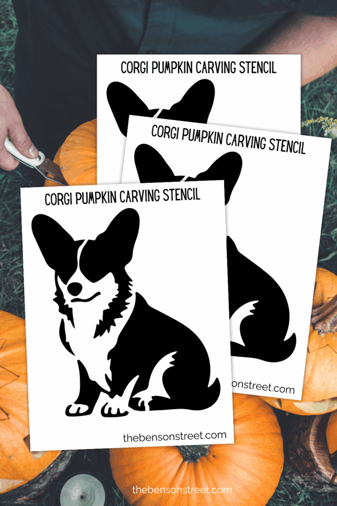 Three sheets printed out with corgis on them for pumpkin carving