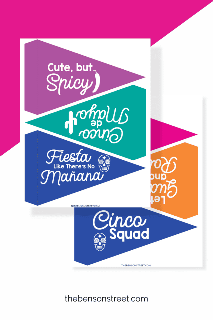 Two sheets of Cinco de Mayo Party Game Flags