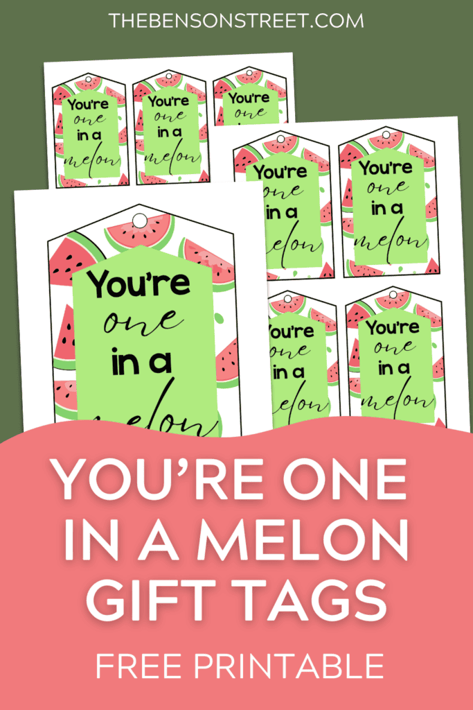 Free Printable You're One in a Melon Gift Tags in 3 sizes