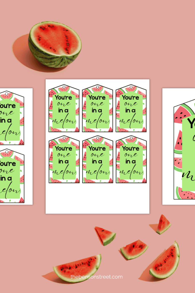 Three sheets of you're one in a melon gift tags printed out on sheets