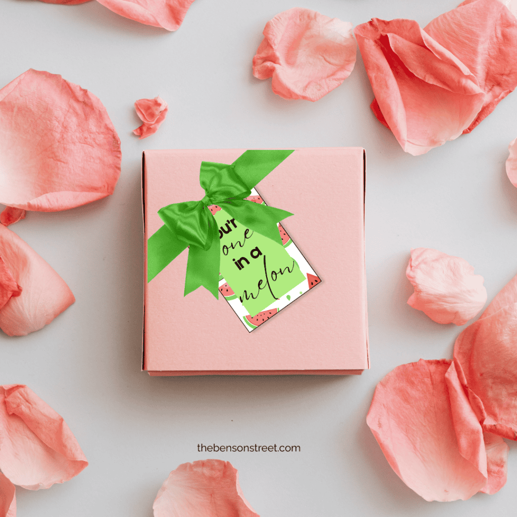 You're one in a melon gift tag on a pink gift box