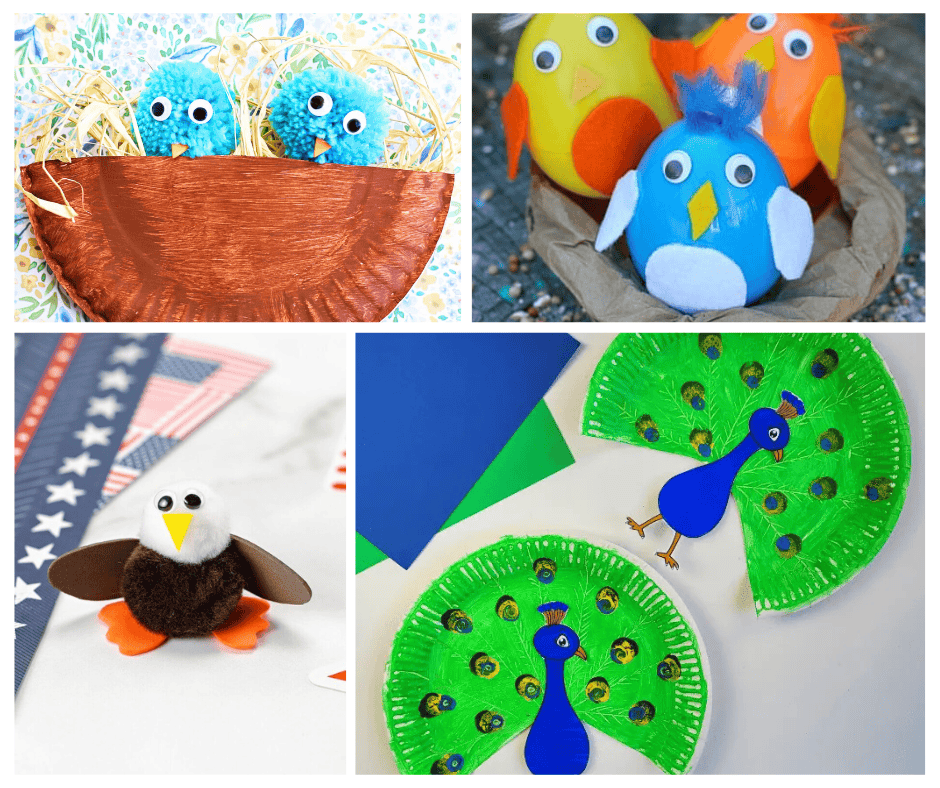 Bird Themed Kid crafts collage