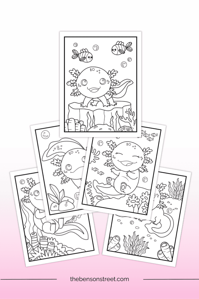 Five different pictures of axolotls to print and color in