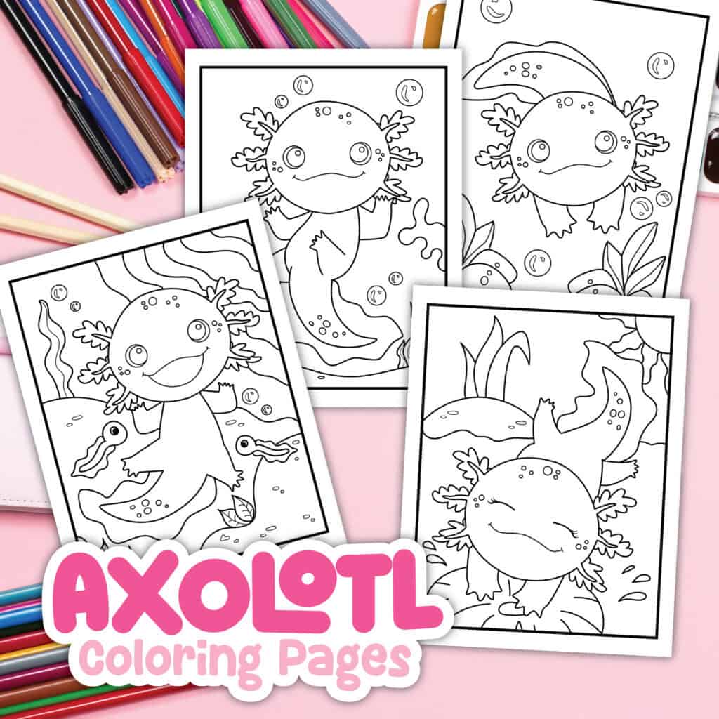 Axolotl coloring pages mock up