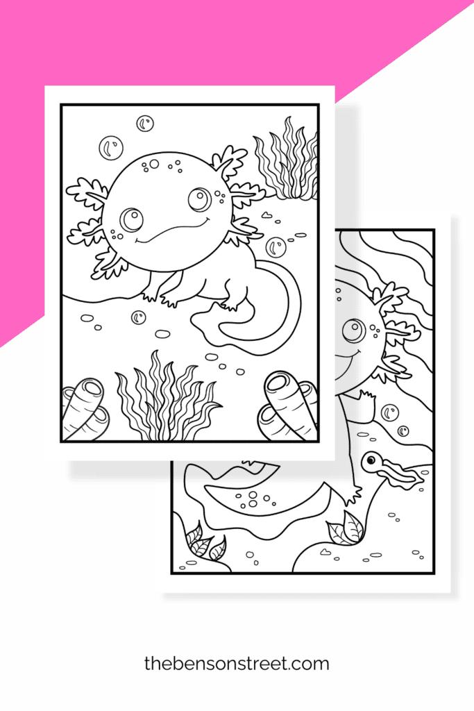 Two different black and white axolotl coloring sheets for kids