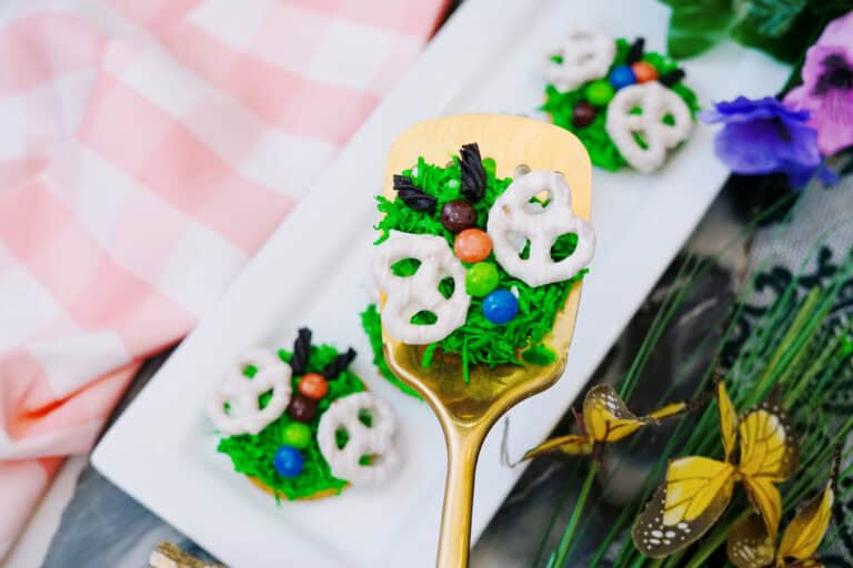 Up Close shot of a butterfly on a spatula