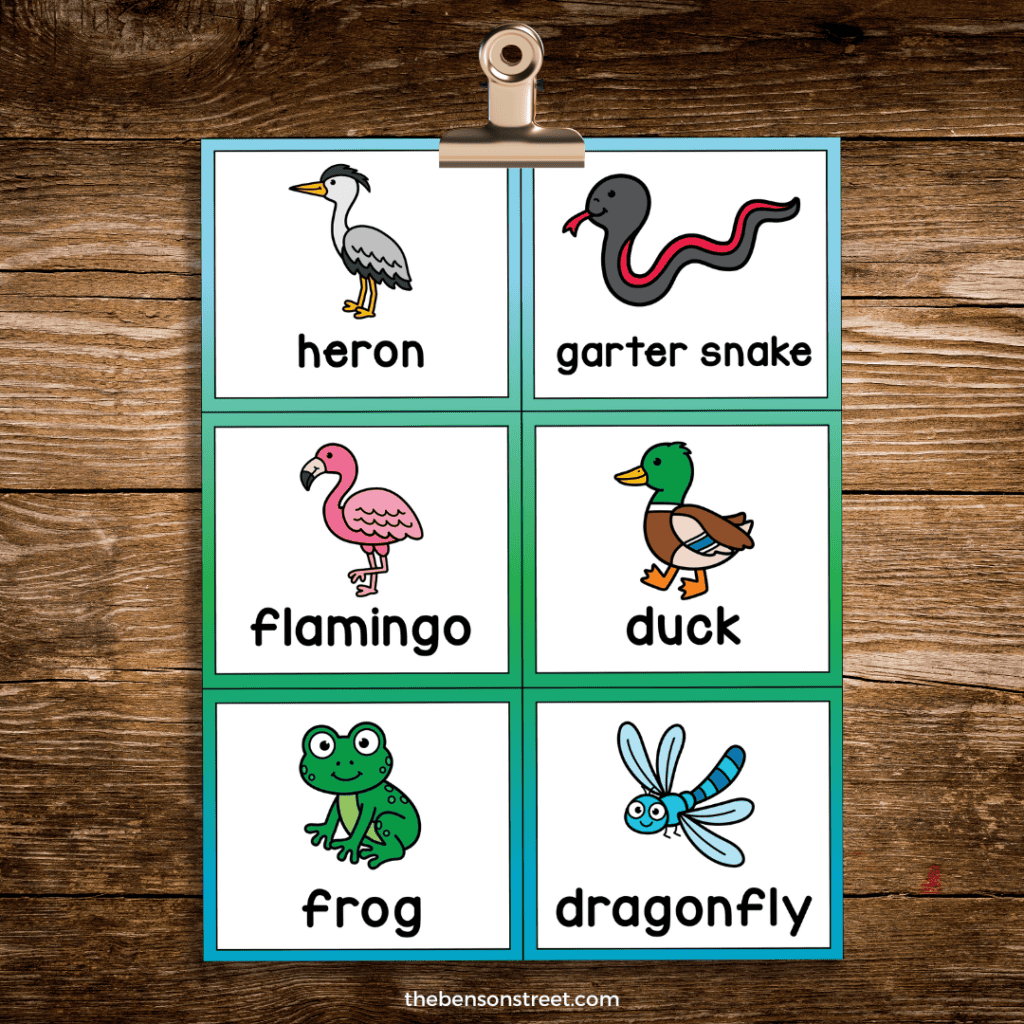 A page of wetland bingo calling cards